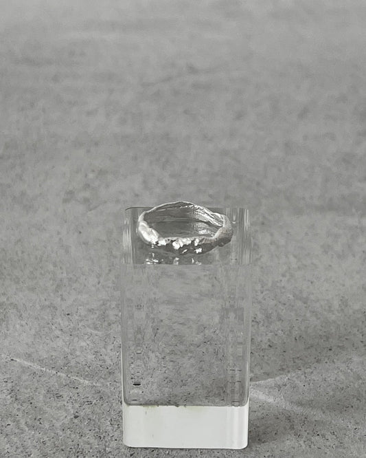 SC 001