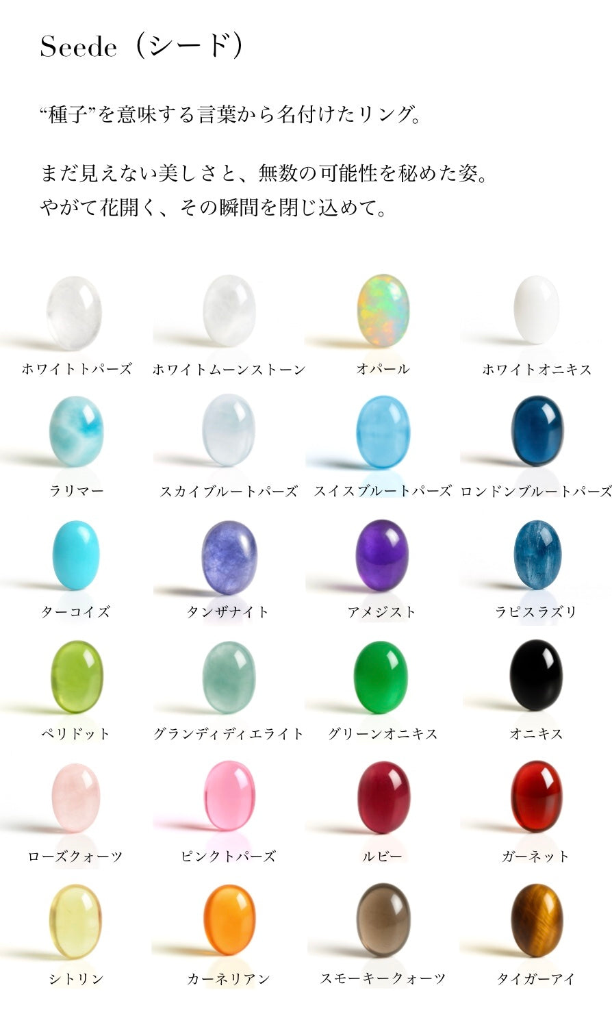 Seede（シード）